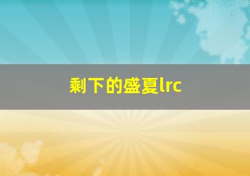 剩下的盛夏lrc