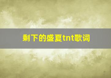 剩下的盛夏tnt歌词