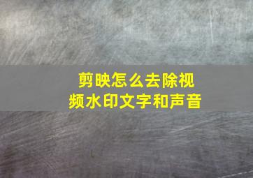 剪映怎么去除视频水印文字和声音