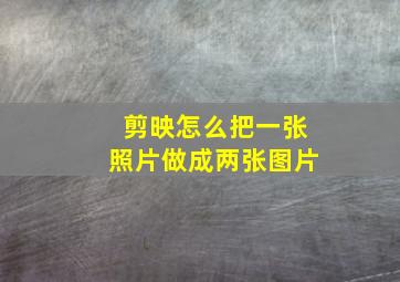 剪映怎么把一张照片做成两张图片