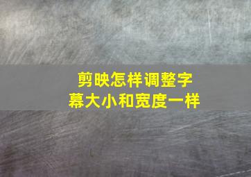 剪映怎样调整字幕大小和宽度一样