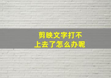 剪映文字打不上去了怎么办呢