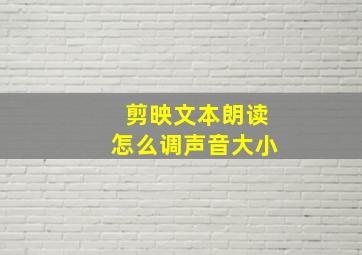 剪映文本朗读怎么调声音大小