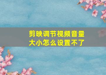 剪映调节视频音量大小怎么设置不了