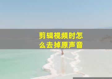 剪辑视频时怎么去掉原声音