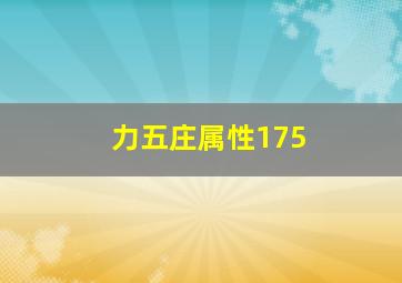 力五庄属性175