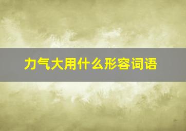 力气大用什么形容词语