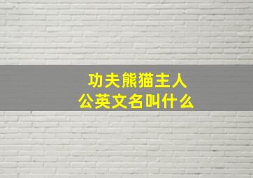 功夫熊猫主人公英文名叫什么