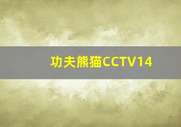 功夫熊猫CCTV14