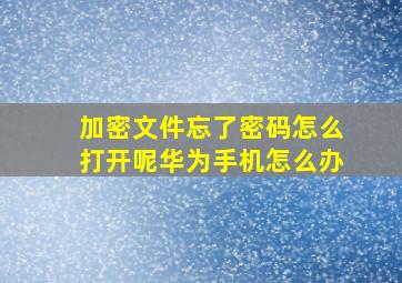 加密文件忘了密码怎么打开呢华为手机怎么办