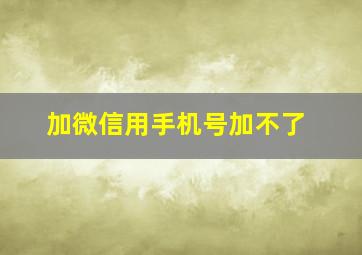 加微信用手机号加不了