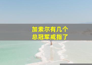 加索尔有几个总冠军戒指了