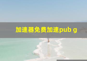 加速器免费加速pub g