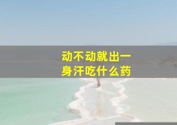 动不动就出一身汗吃什么药