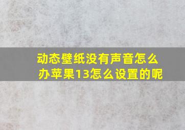 动态壁纸没有声音怎么办苹果13怎么设置的呢