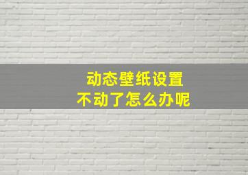 动态壁纸设置不动了怎么办呢