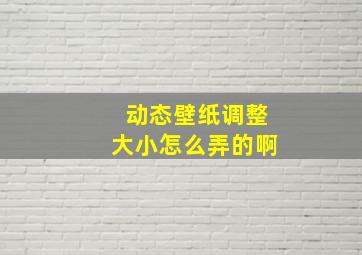 动态壁纸调整大小怎么弄的啊