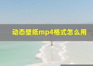 动态壁纸mp4格式怎么用