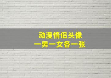 动漫情侣头像一男一女各一张