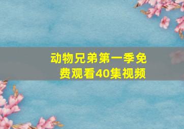 动物兄弟第一季免费观看40集视频