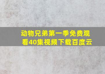 动物兄弟第一季免费观看40集视频下载百度云