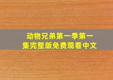 动物兄弟第一季第一集完整版免费观看中文