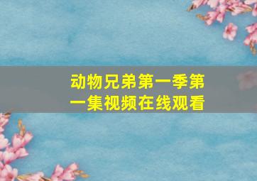 动物兄弟第一季第一集视频在线观看