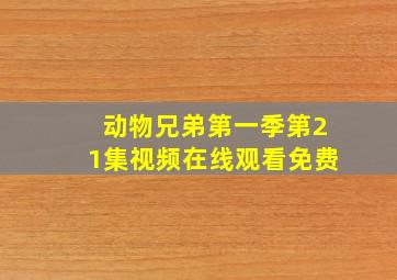 动物兄弟第一季第21集视频在线观看免费