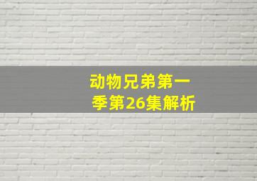 动物兄弟第一季第26集解析