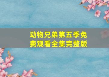 动物兄弟第五季免费观看全集完整版