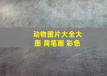 动物图片大全大图 简笔画 彩色