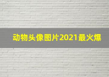 动物头像图片2021最火爆