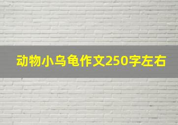 动物小乌龟作文250字左右