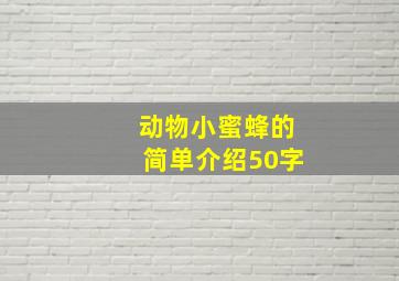 动物小蜜蜂的简单介绍50字