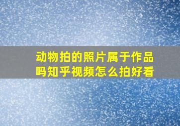 动物拍的照片属于作品吗知乎视频怎么拍好看