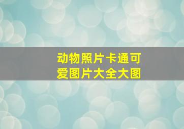 动物照片卡通可爱图片大全大图