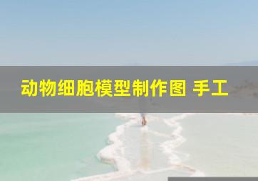 动物细胞模型制作图 手工