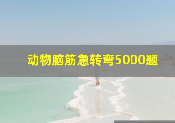 动物脑筋急转弯5000题