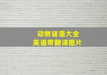 动物谜语大全英语带翻译图片