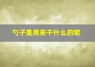 勺子是用来干什么的呢