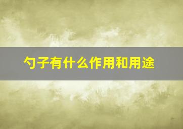 勺子有什么作用和用途