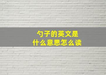 勺子的英文是什么意思怎么读