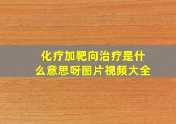 化疗加靶向治疗是什么意思呀图片视频大全