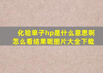 化验单子hp是什么意思啊怎么看结果呢图片大全下载