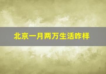 北京一月两万生活咋样