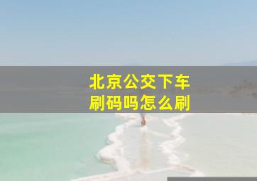 北京公交下车刷码吗怎么刷