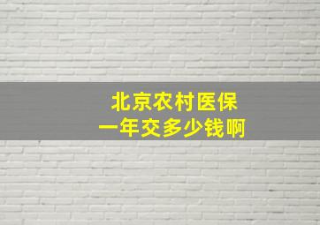 北京农村医保一年交多少钱啊