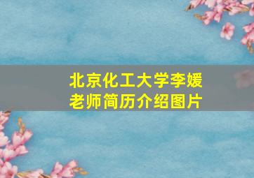 北京化工大学李媛老师简历介绍图片