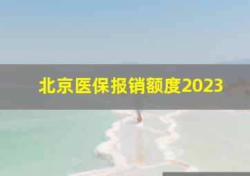 北京医保报销额度2023