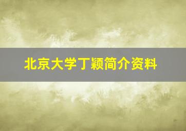 北京大学丁颖简介资料